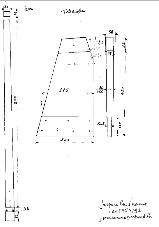 Croquis tête de safran