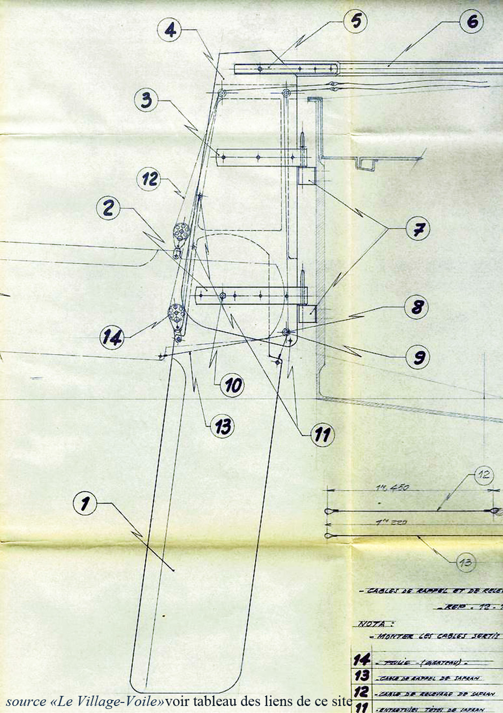 Dessin du safran